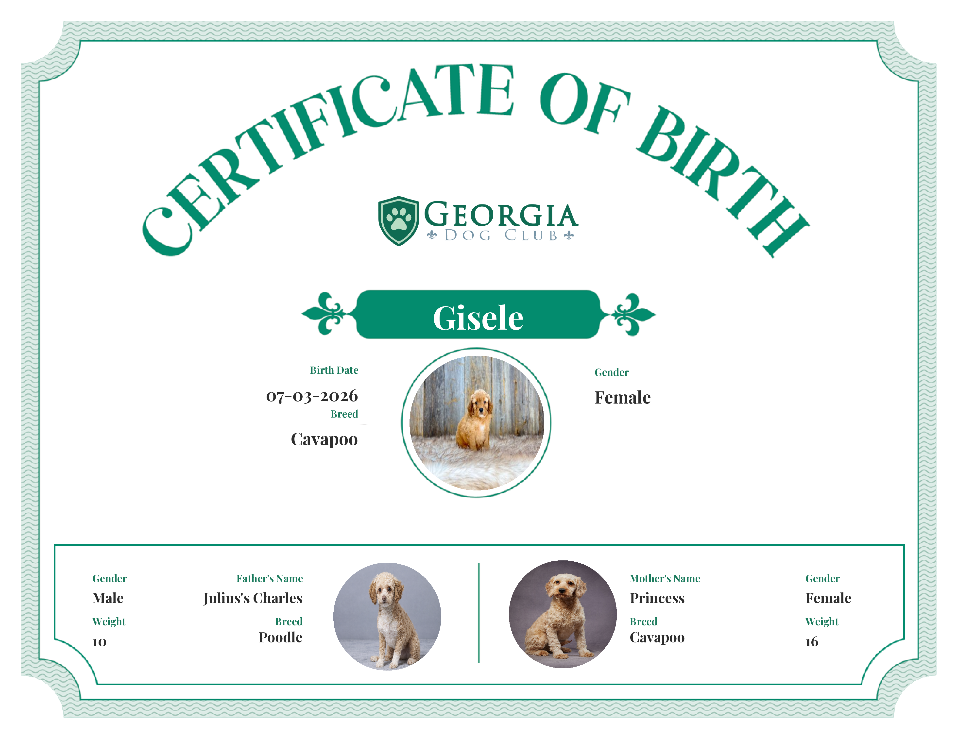 Gisele's Birth Certificate