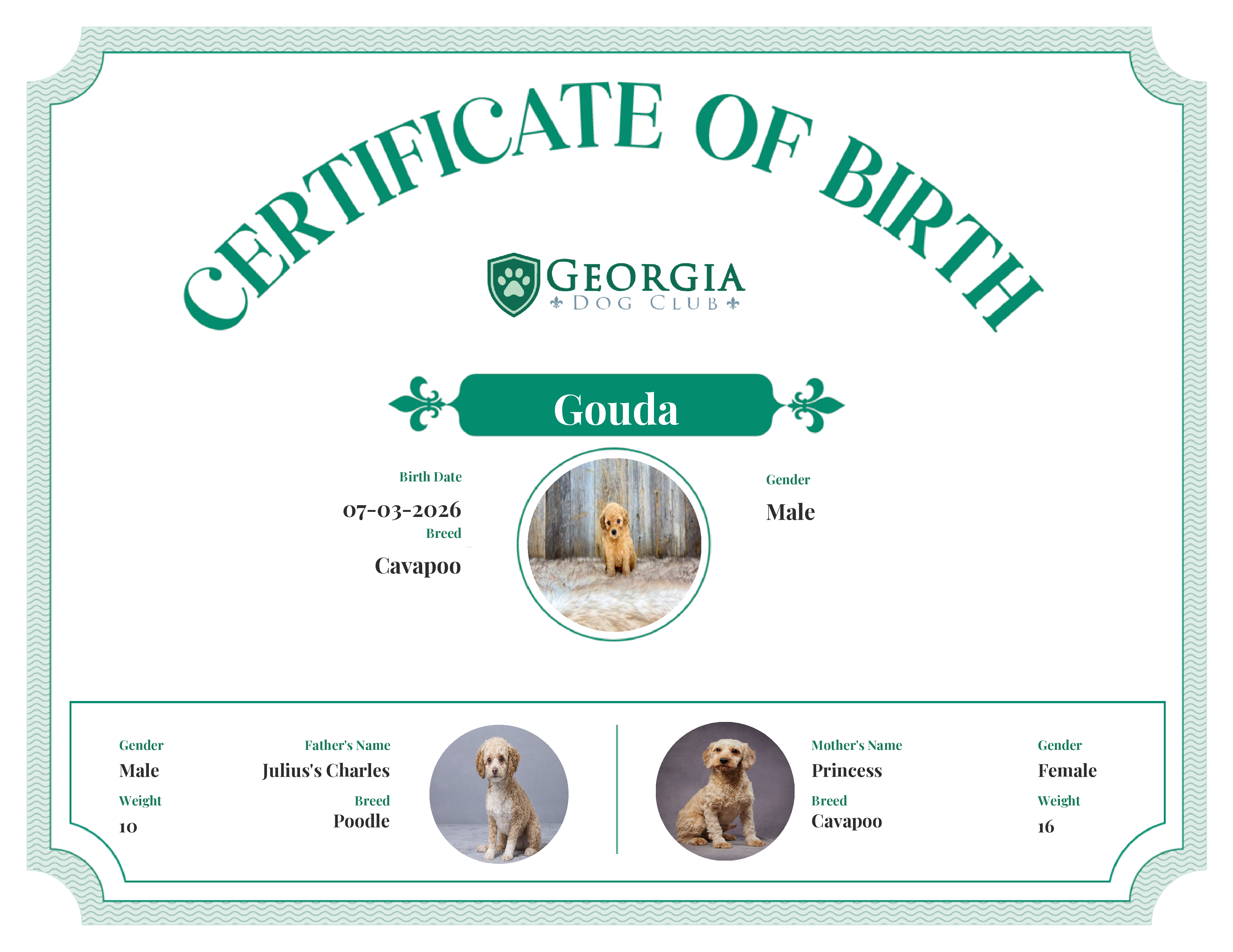 Gouda's Birth Certificate