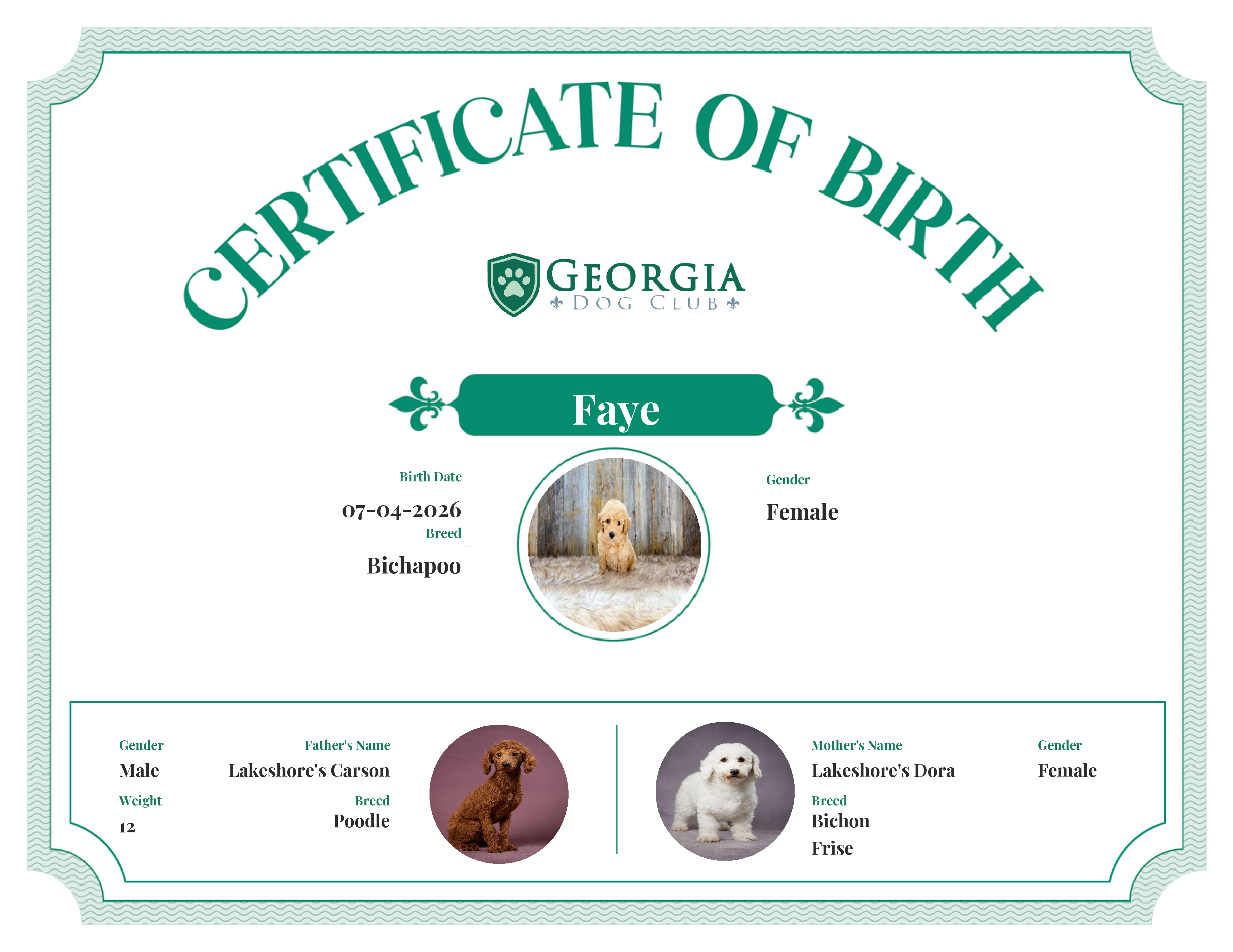 Faye's Birth Certificate