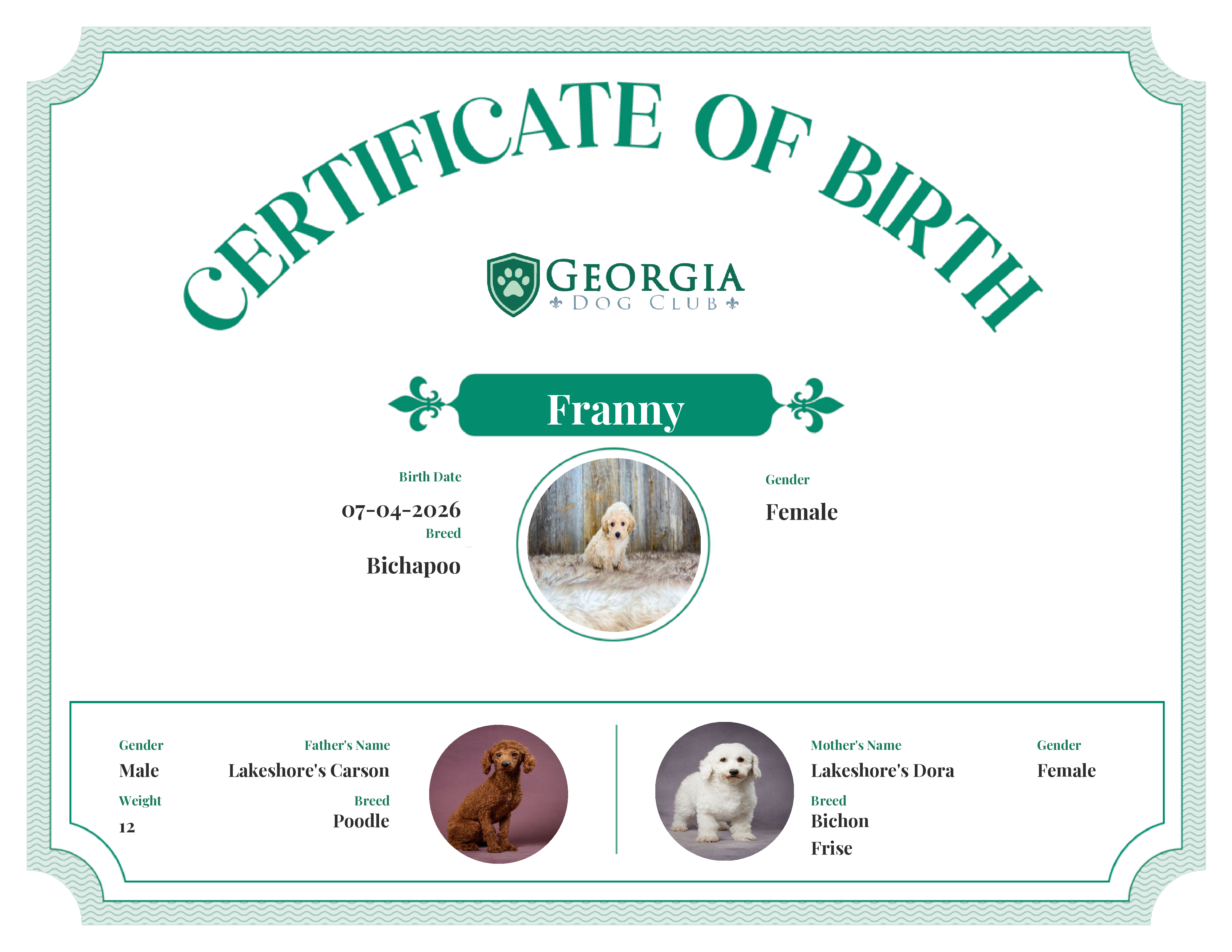 Franny's Birth Certificate