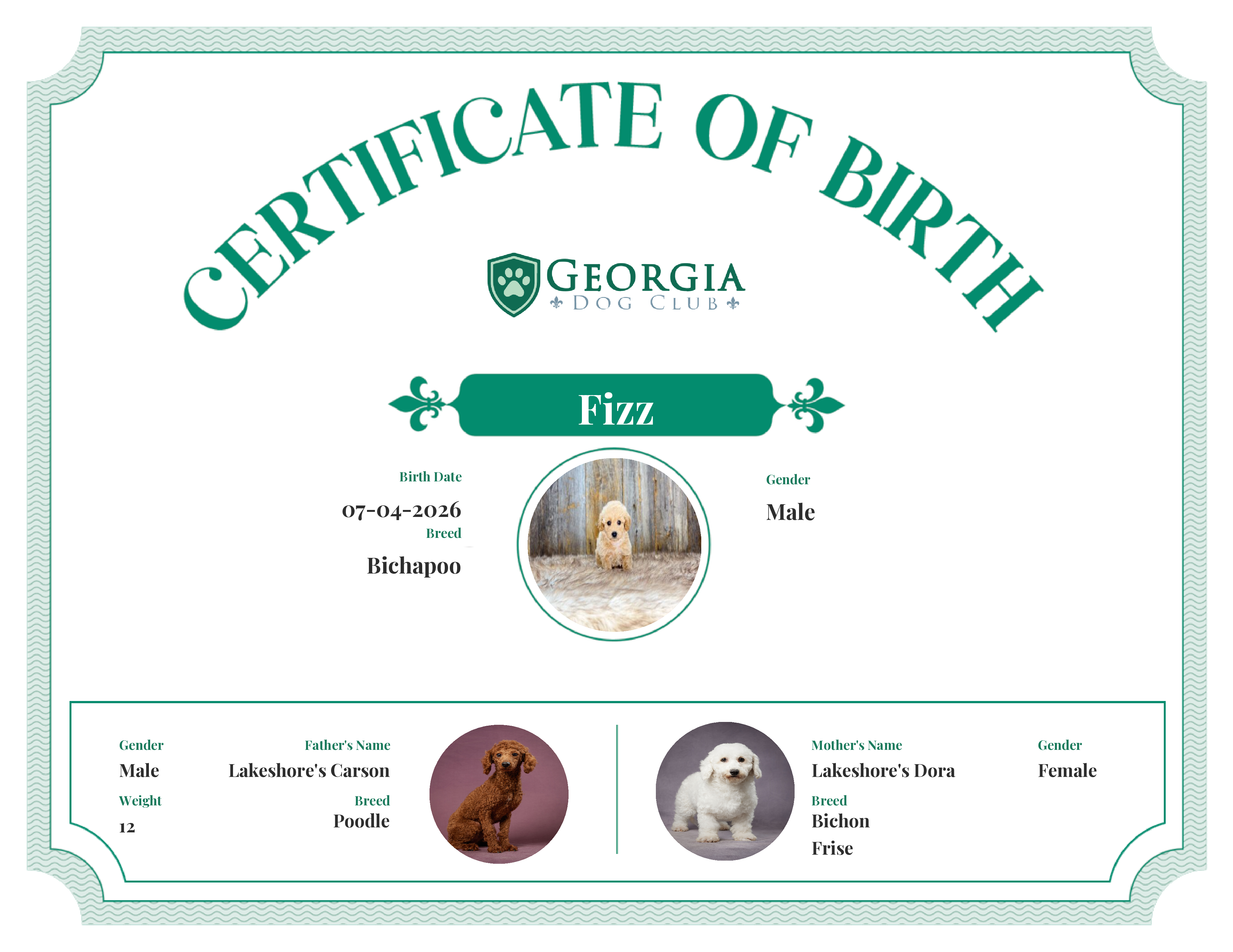 Fizz's Birth Certificate