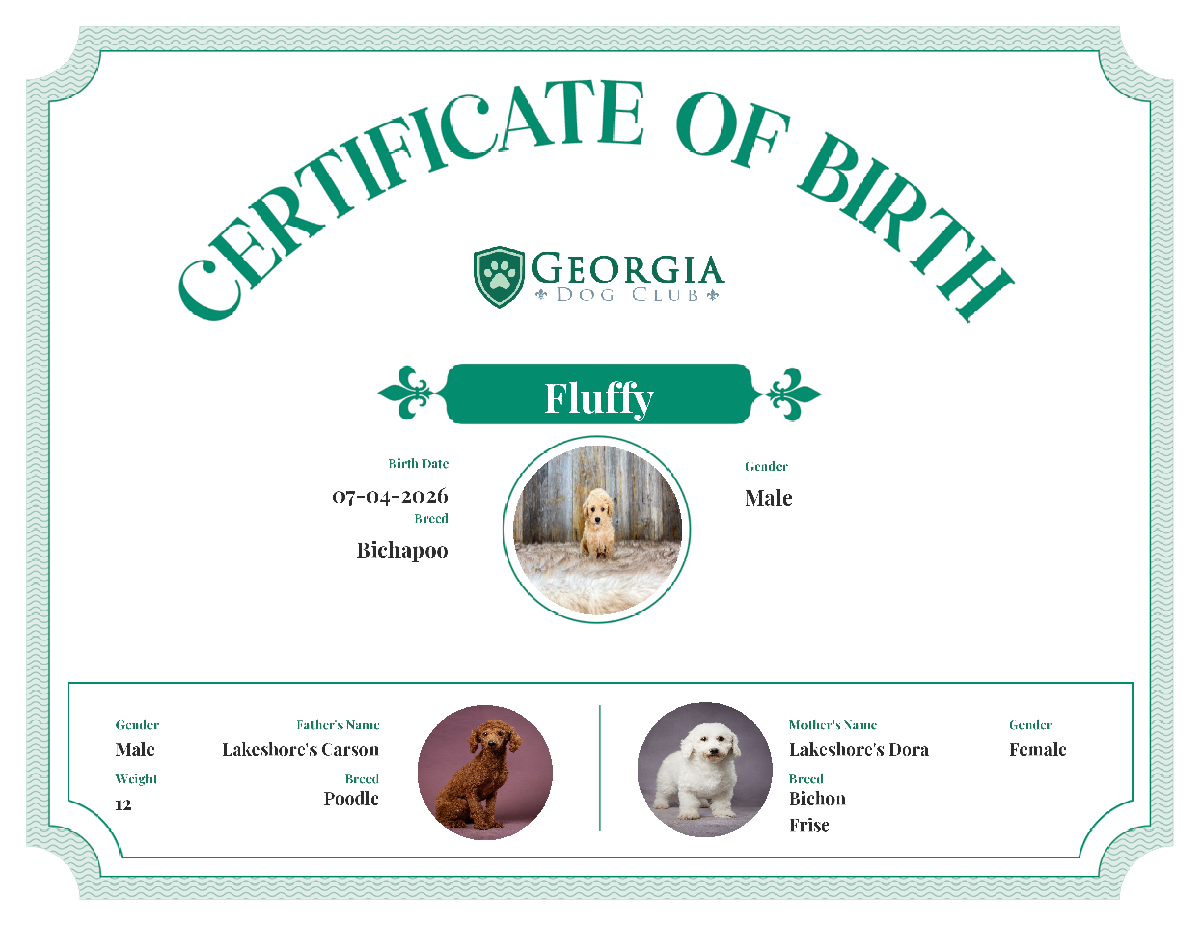 Fluffy's Birth Certificate