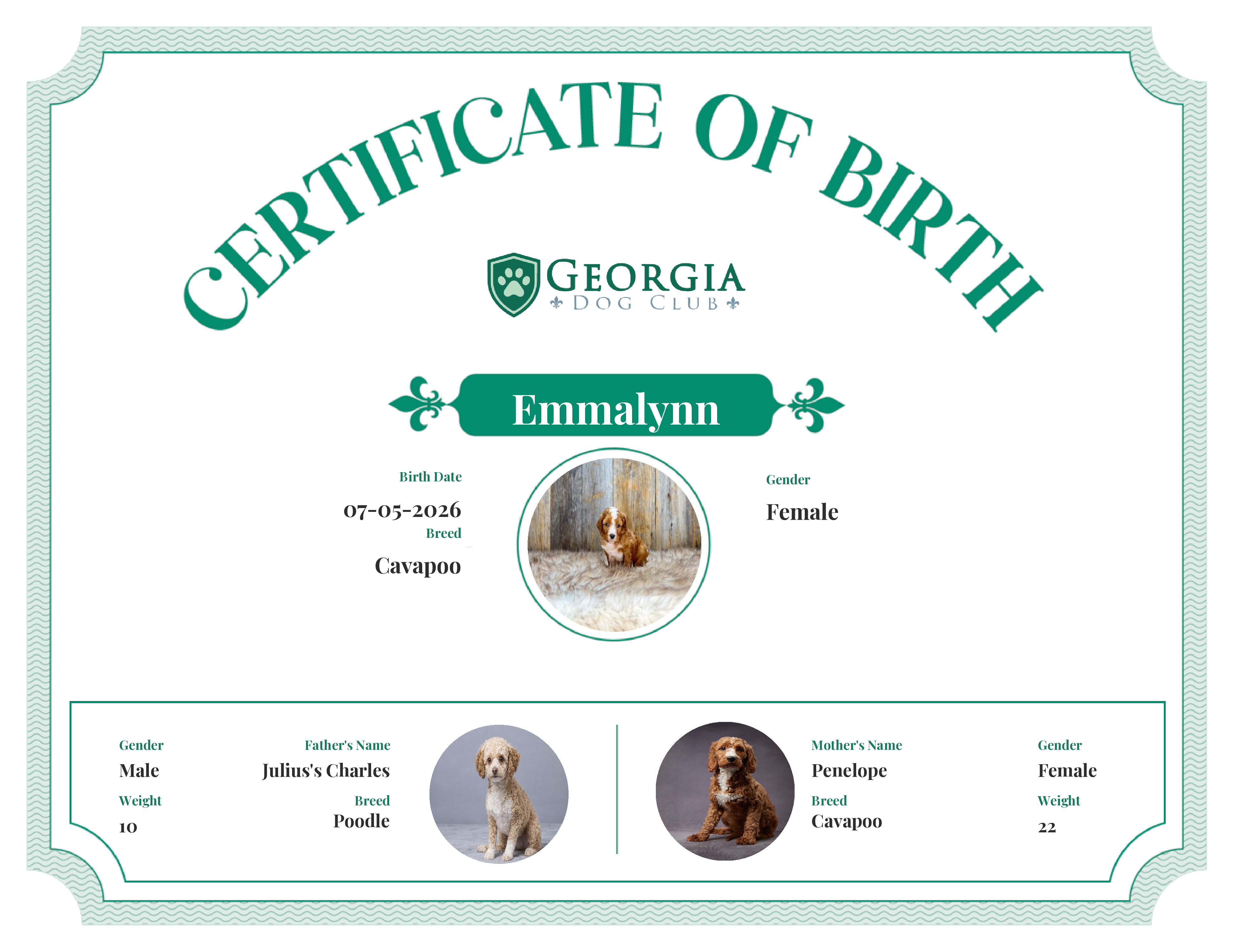 Emmalynn's Birth Certificate