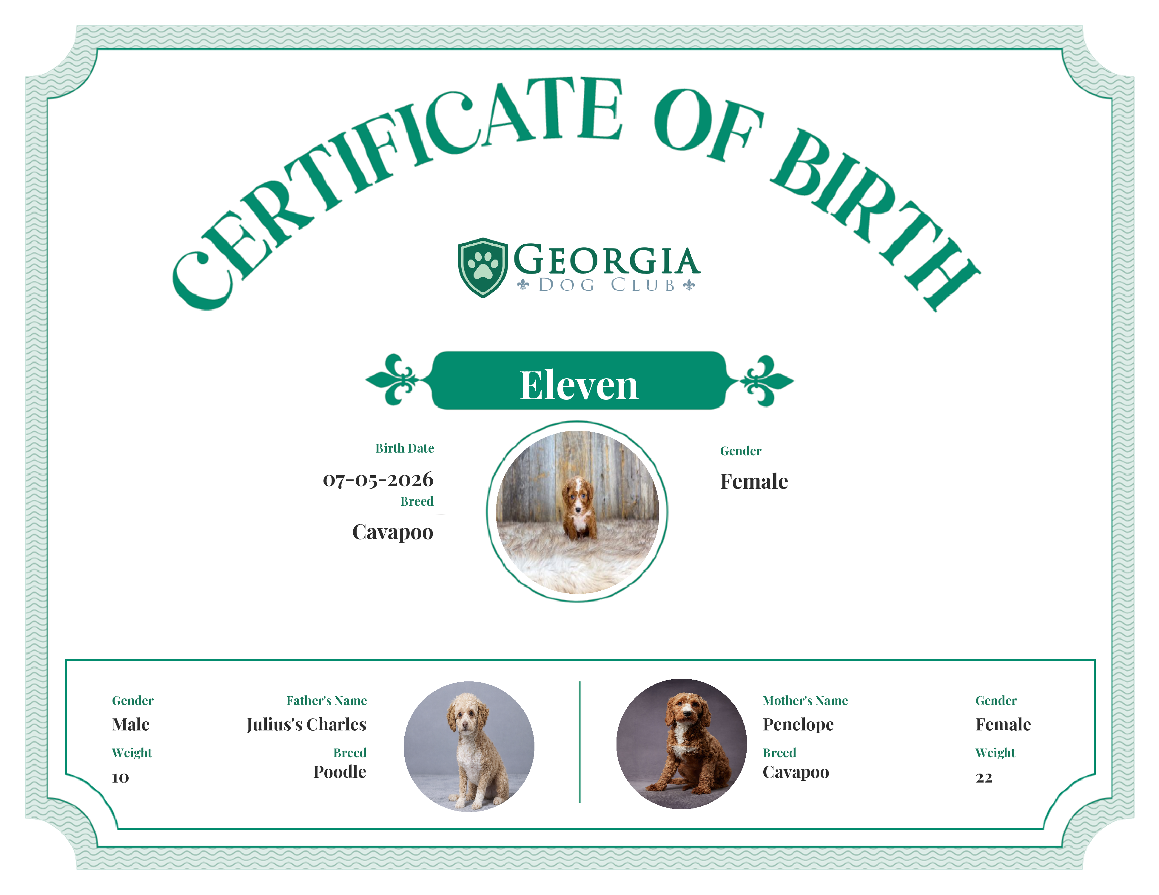 Eleven's Birth Certificate