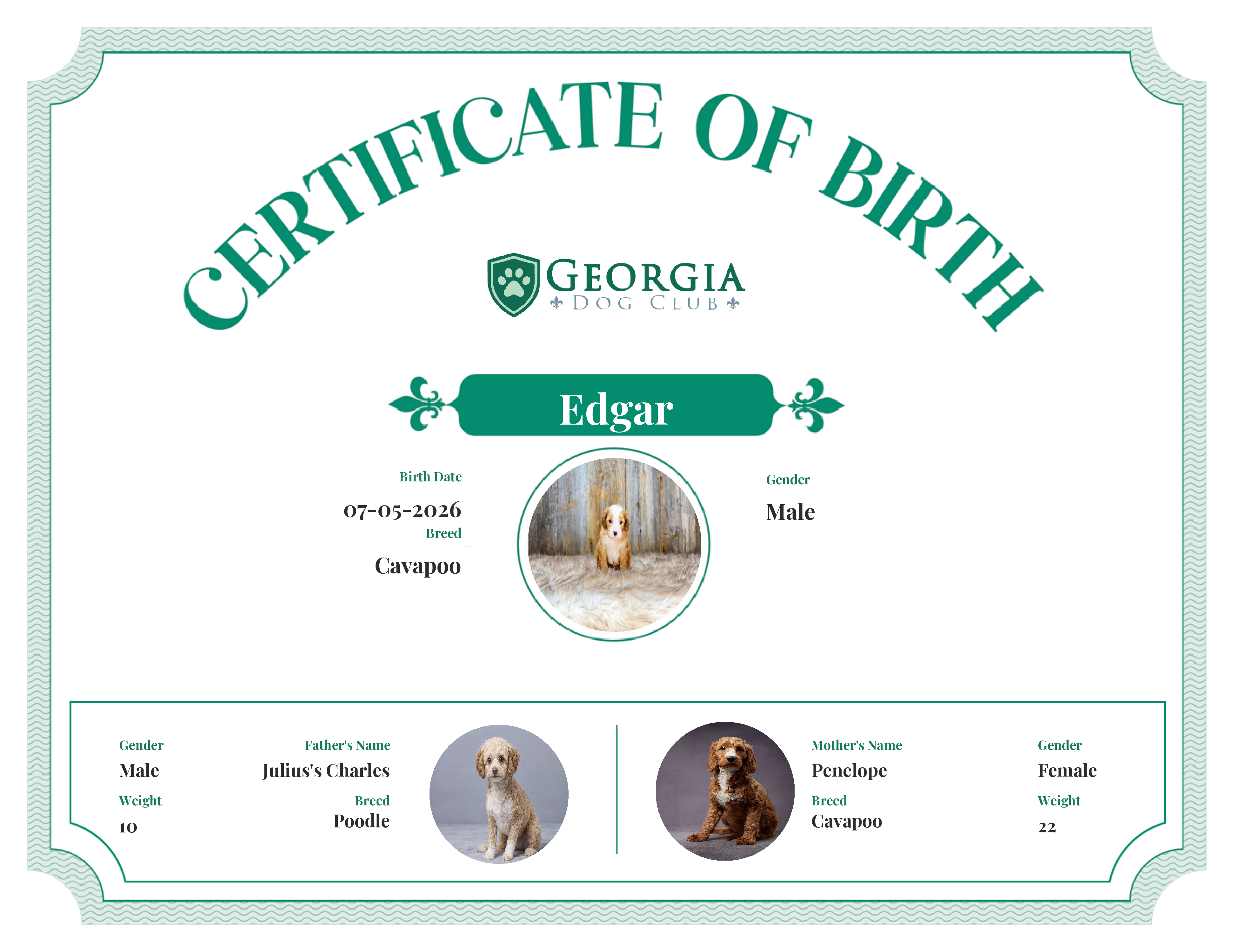 Edgar's Birth Certificate