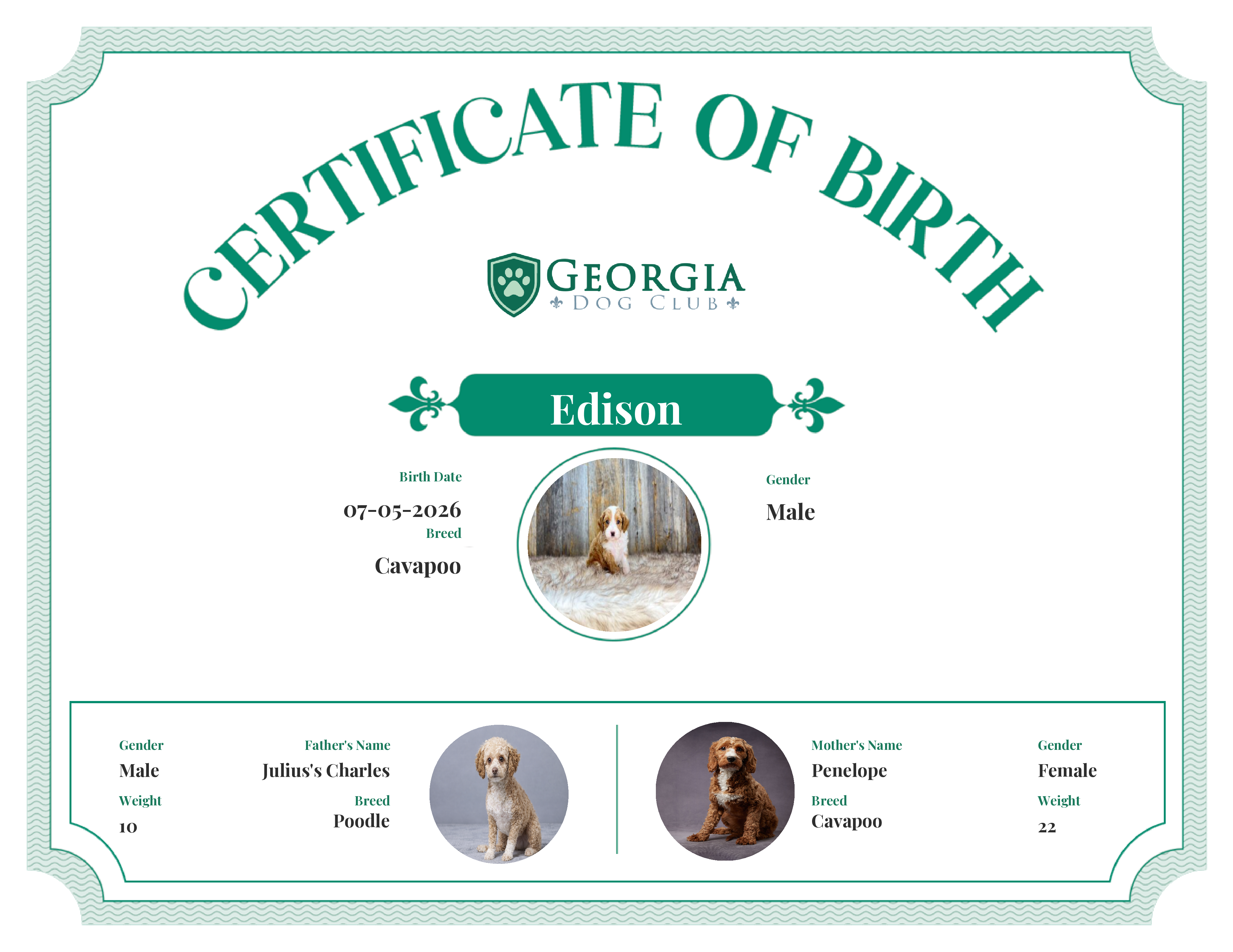 Edison's Birth Certificate
