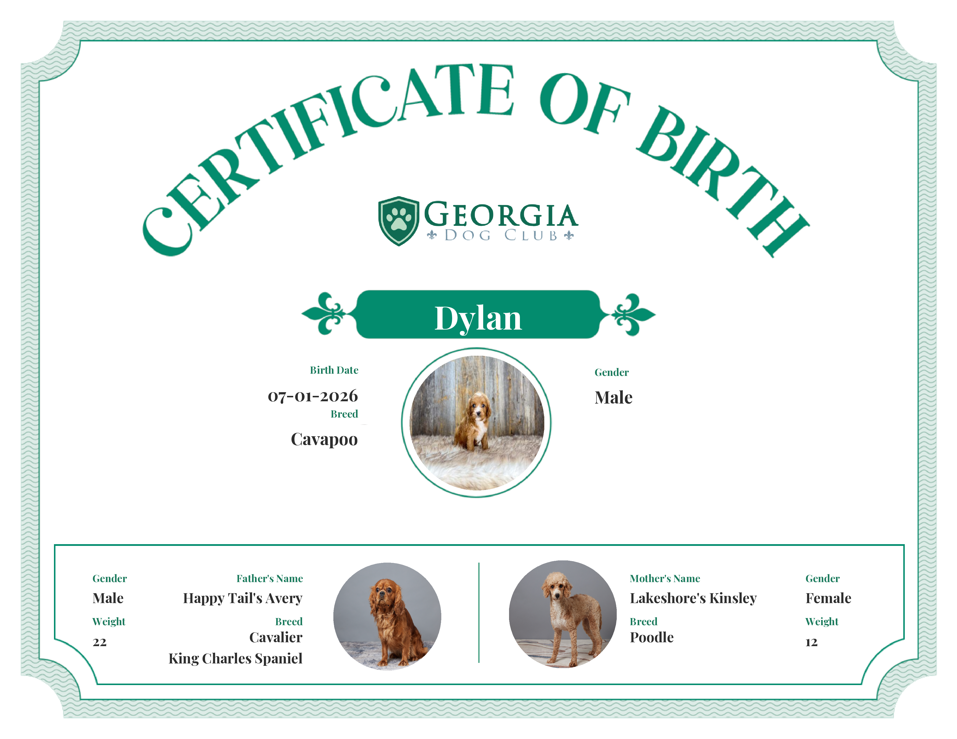 Dylan's Birth Certificate