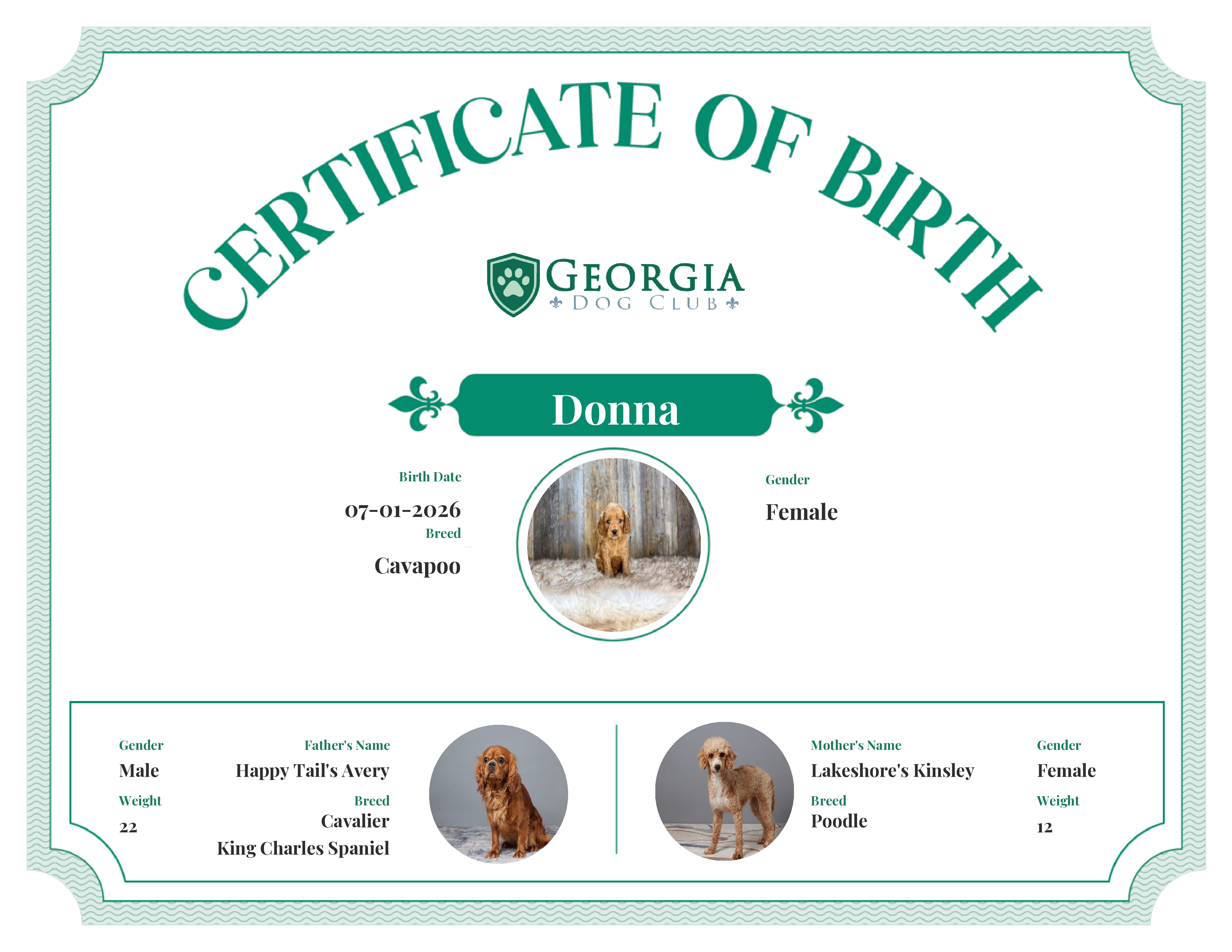 Donna's Birth Certificate