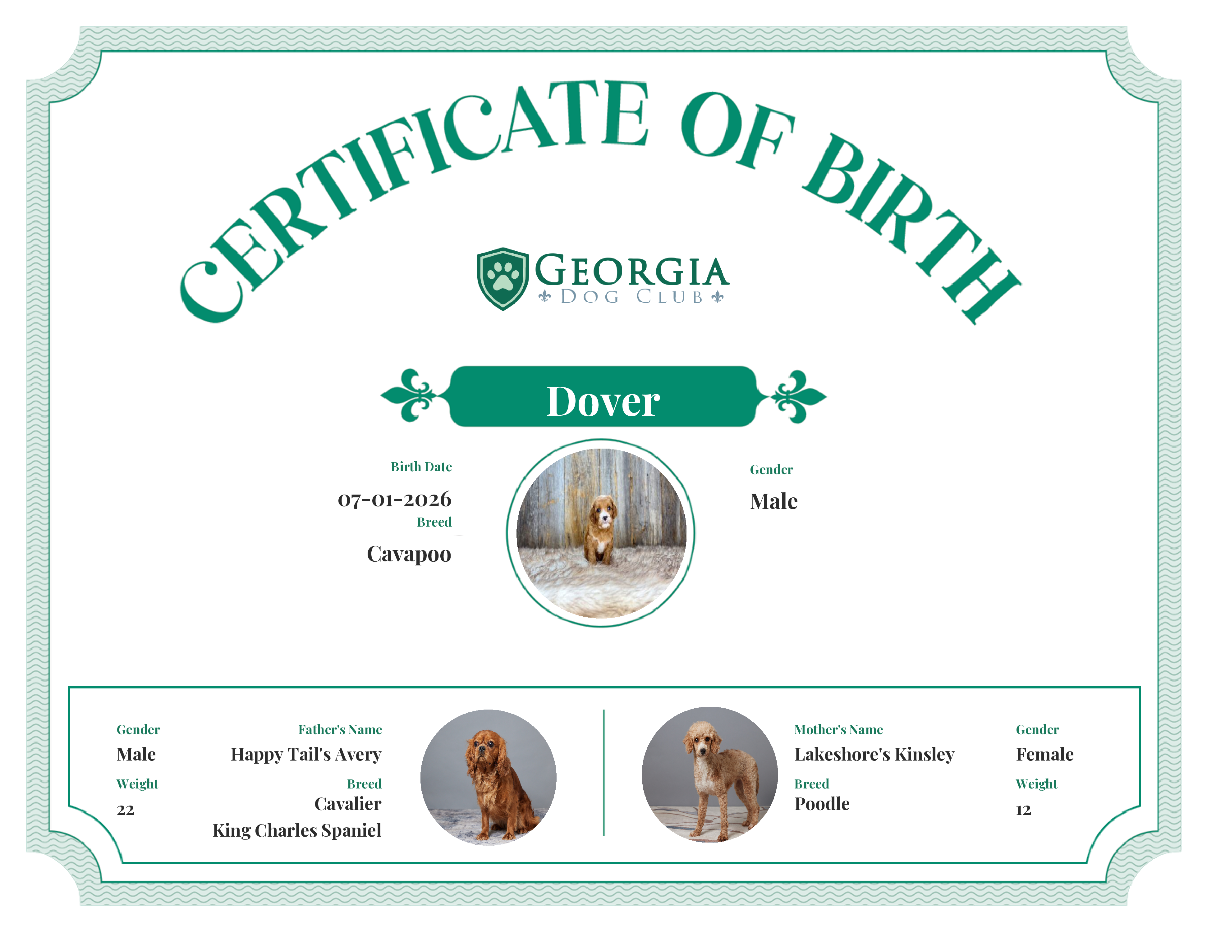 Dover's Birth Certificate
