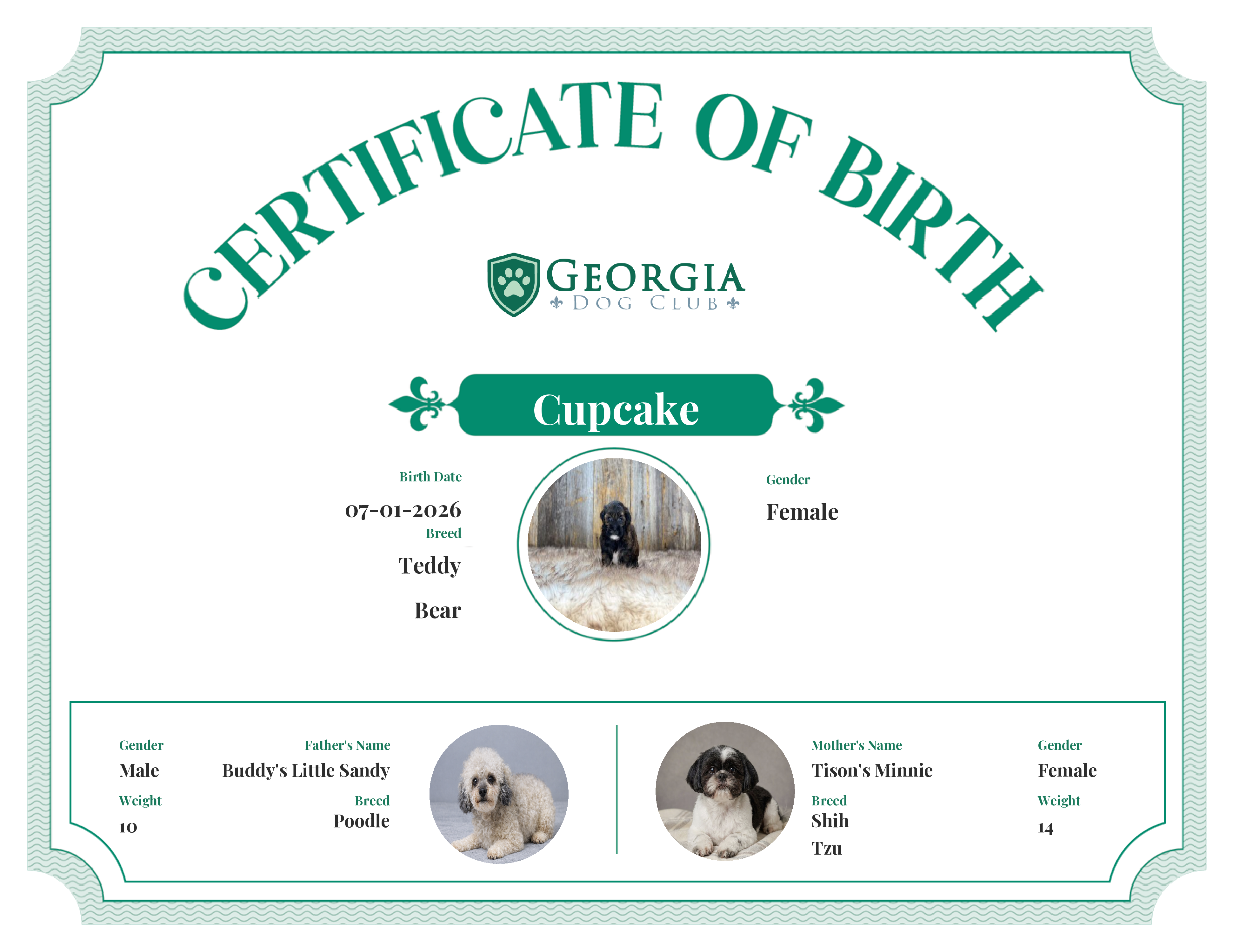 Cupcake's Birth Certificate