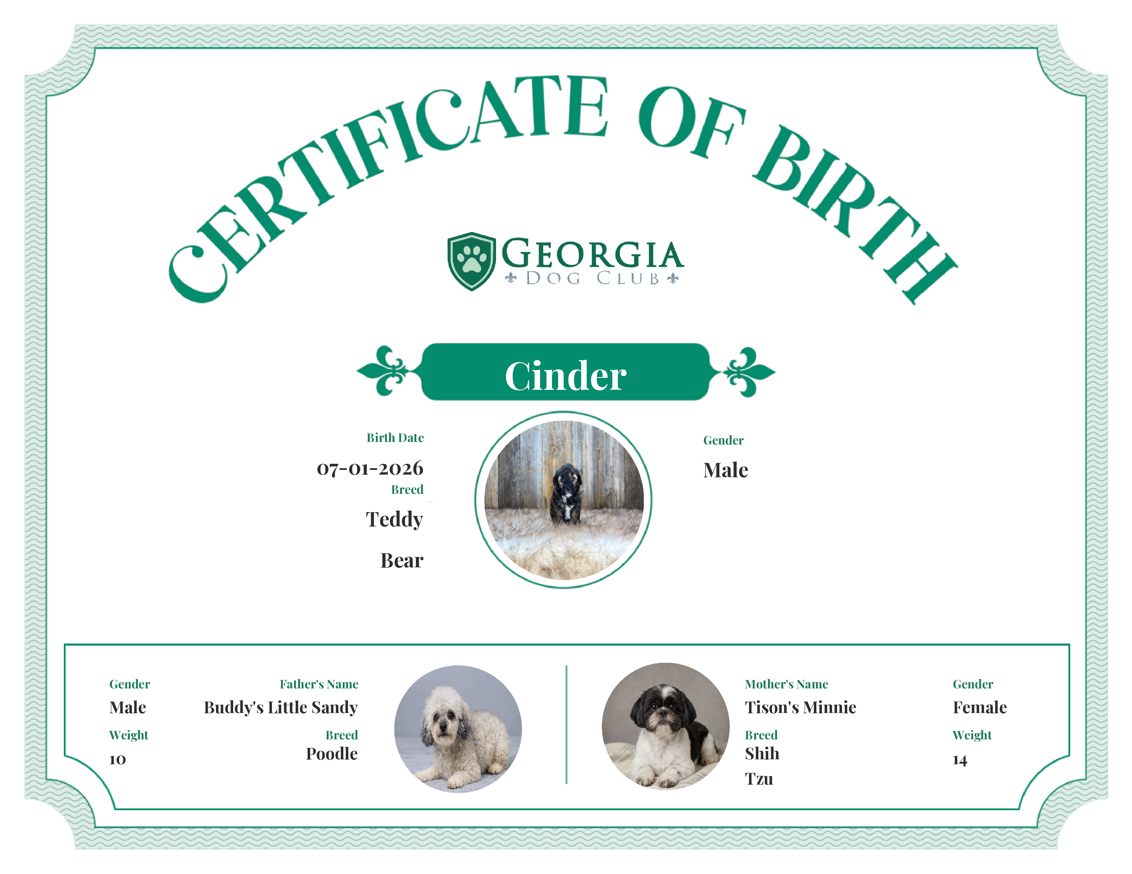Cinder's Birth Certificate