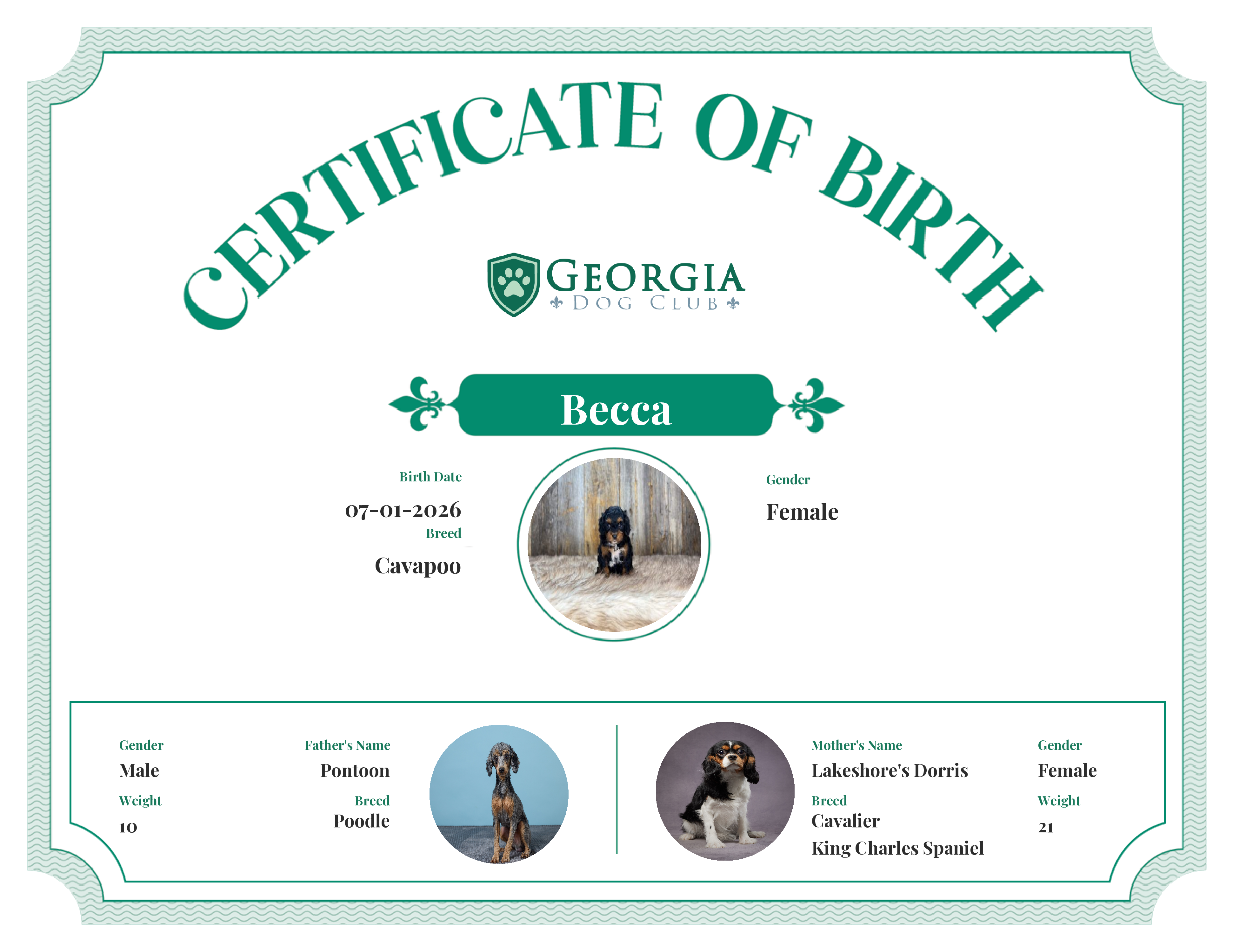 Becca's Birth Certificate