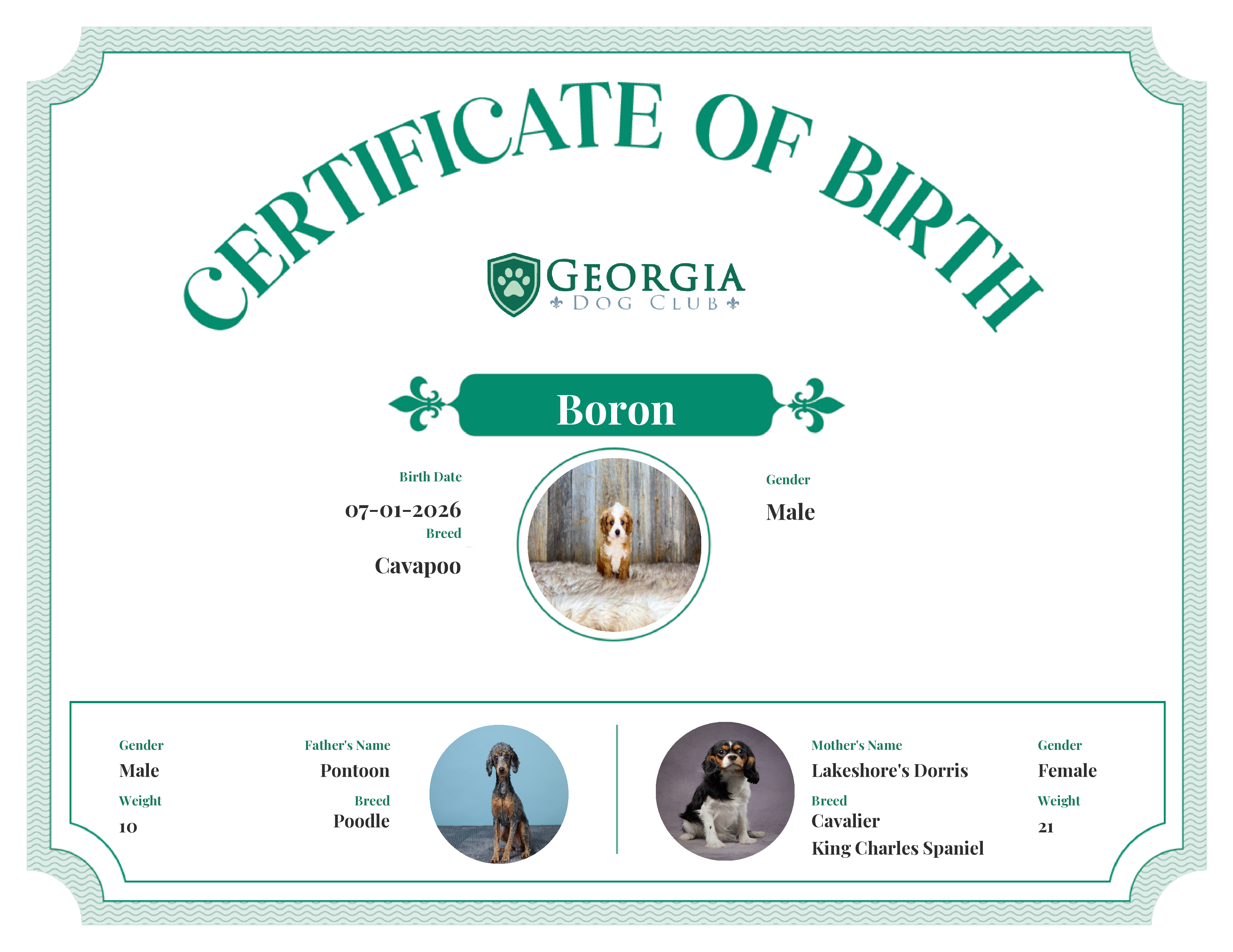Boron's Birth Certificate