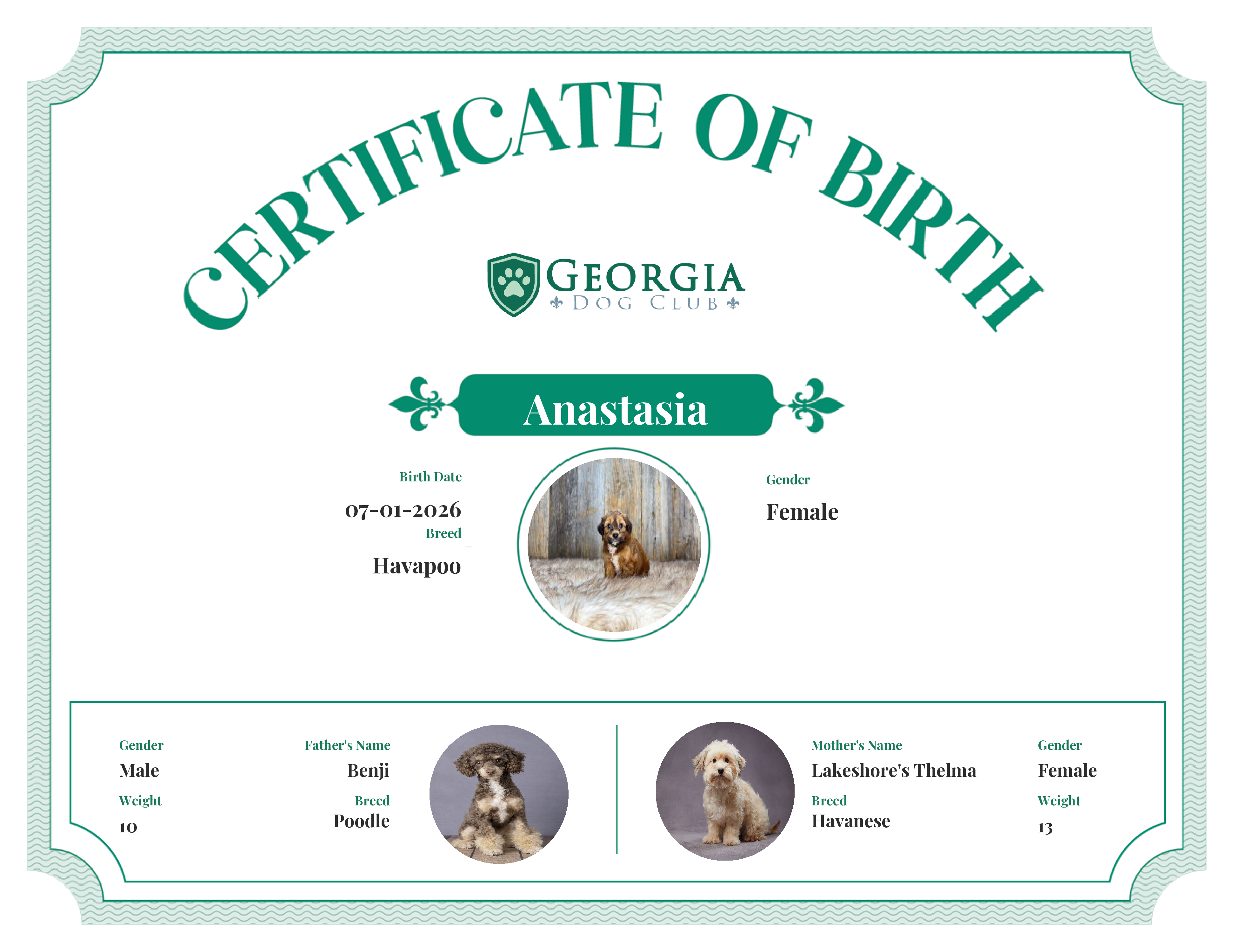 Anastasia's Birth Certificate