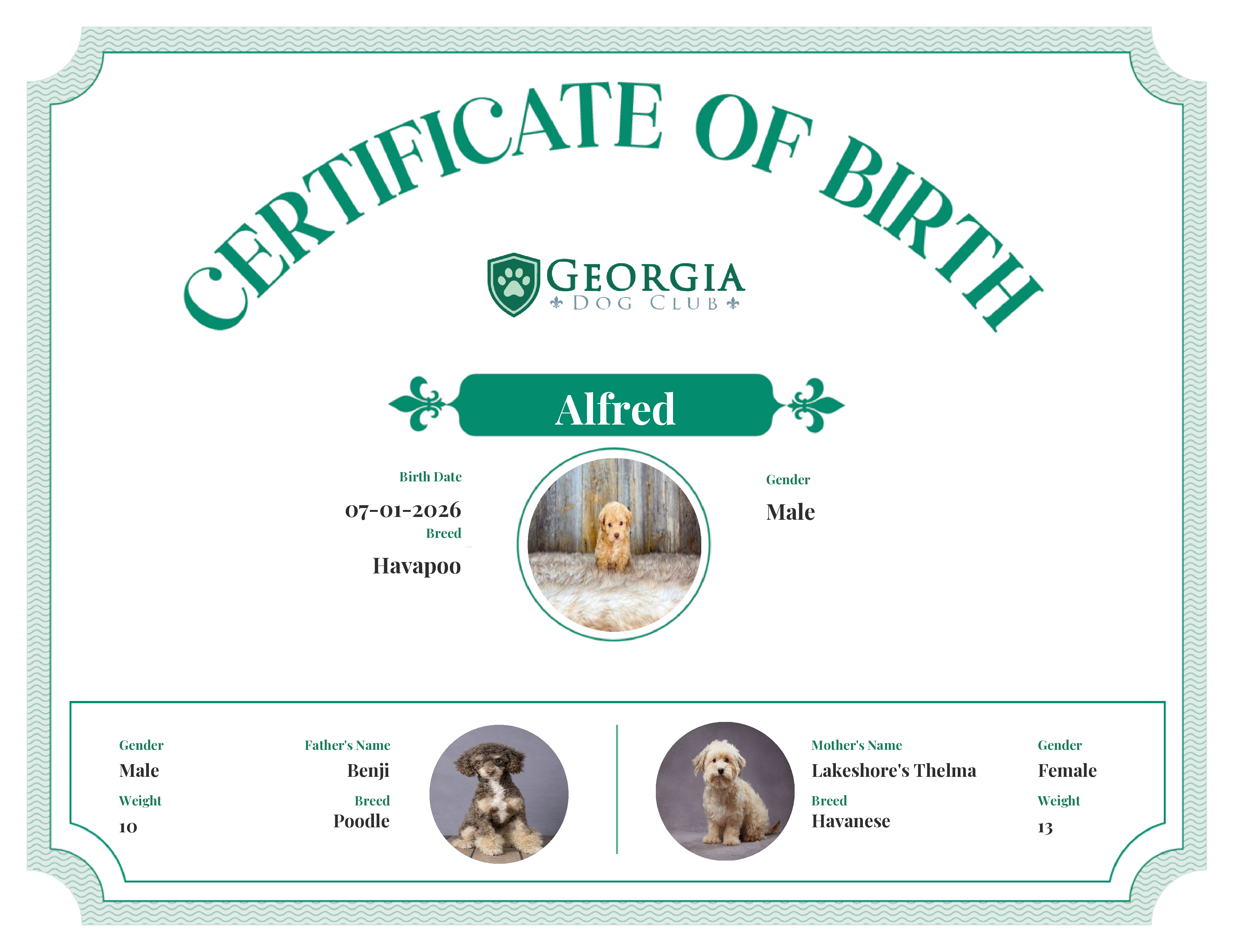 Alfred's Birth Certificate