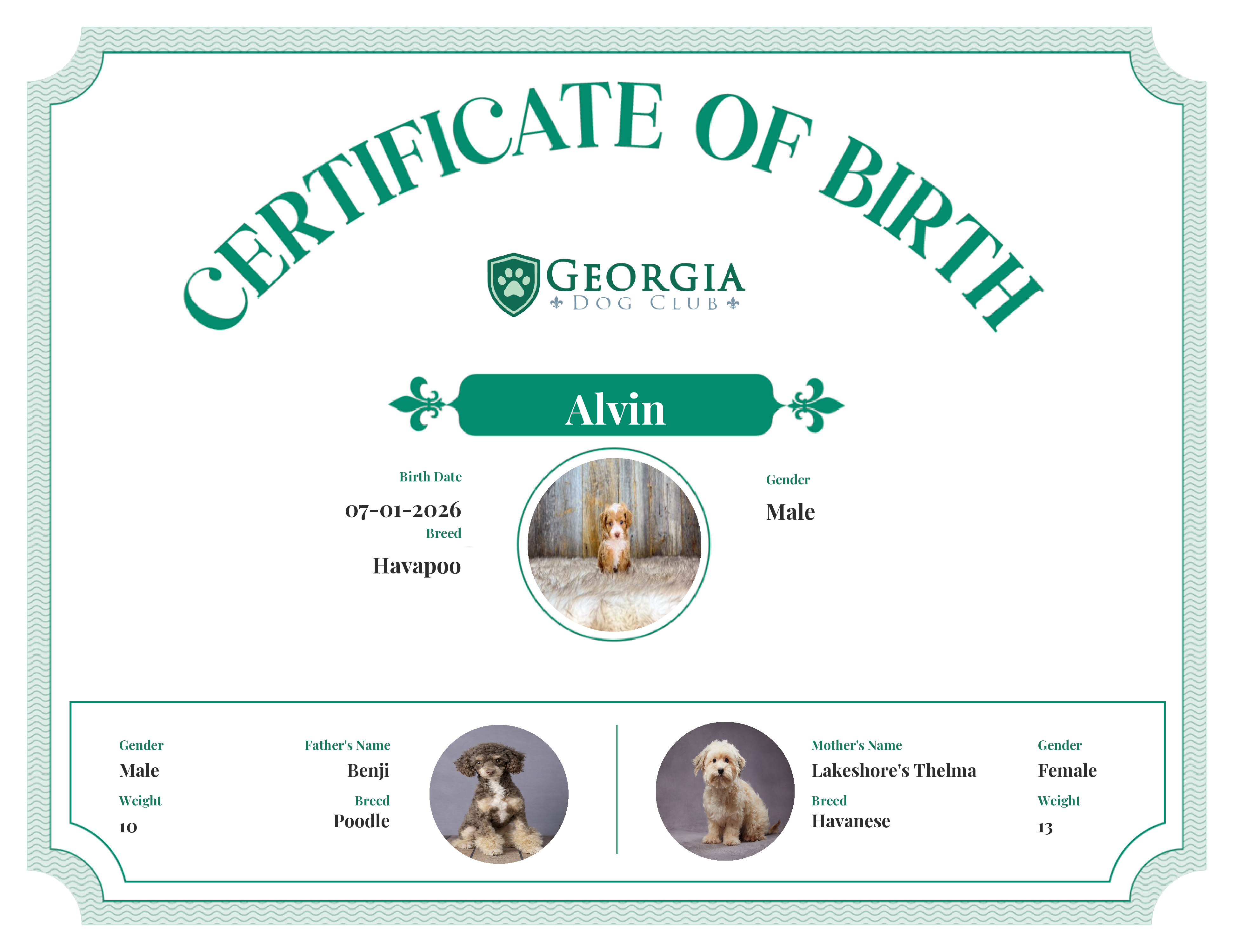 Alvin's Birth Certificate